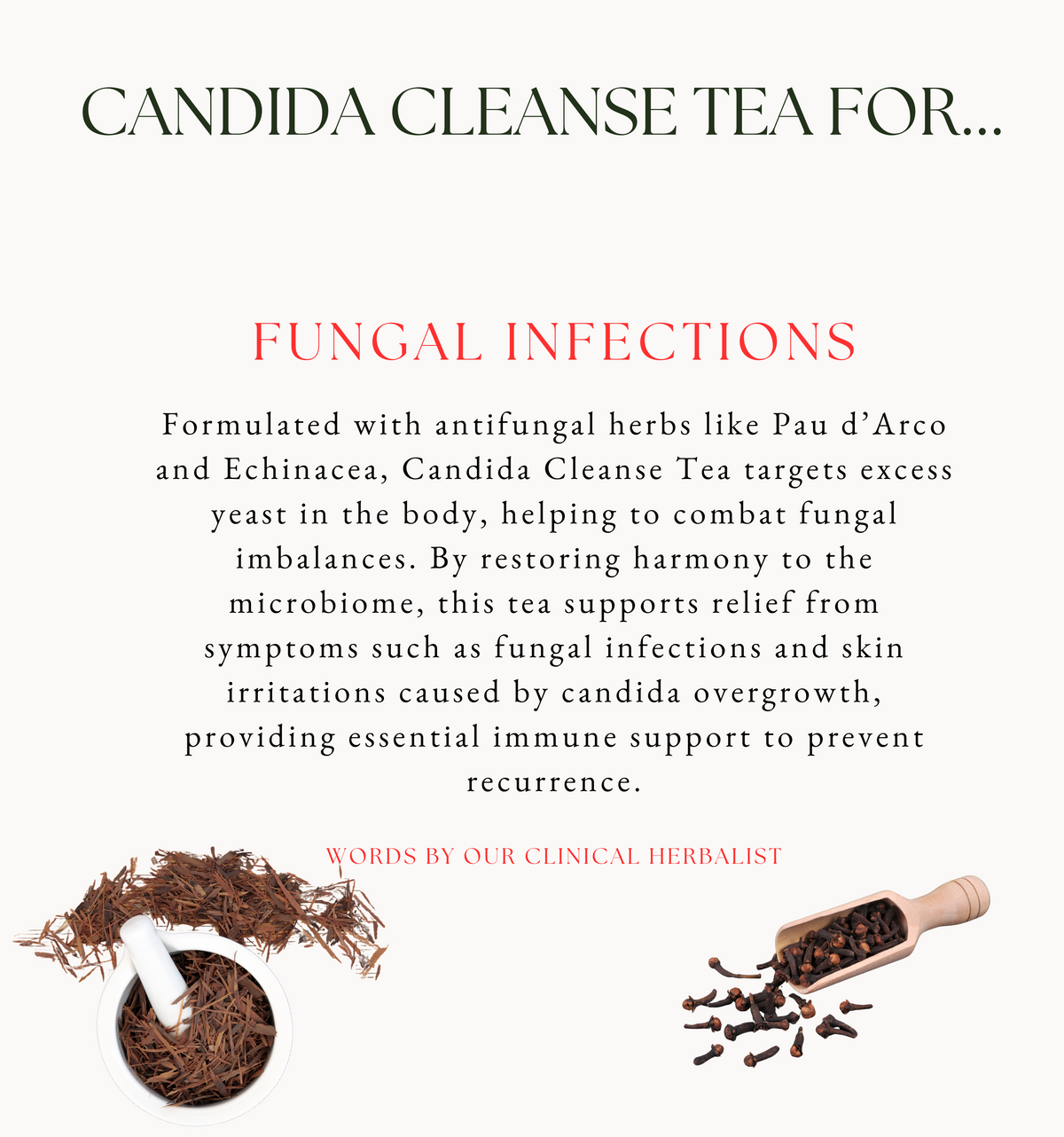 Candida Cleanse – Haya Herbs
