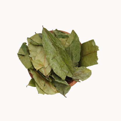 Soursop Leaves