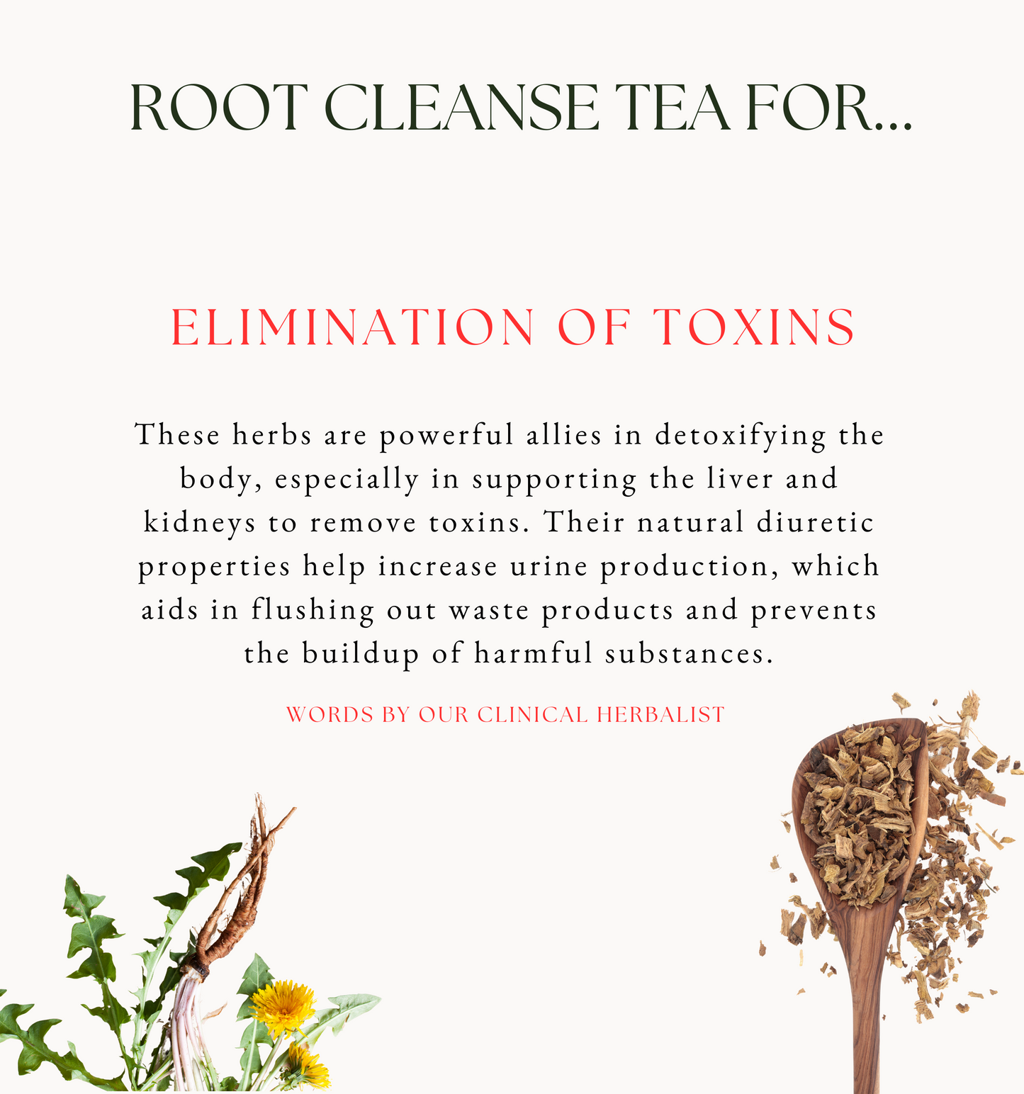 Root Cleanse