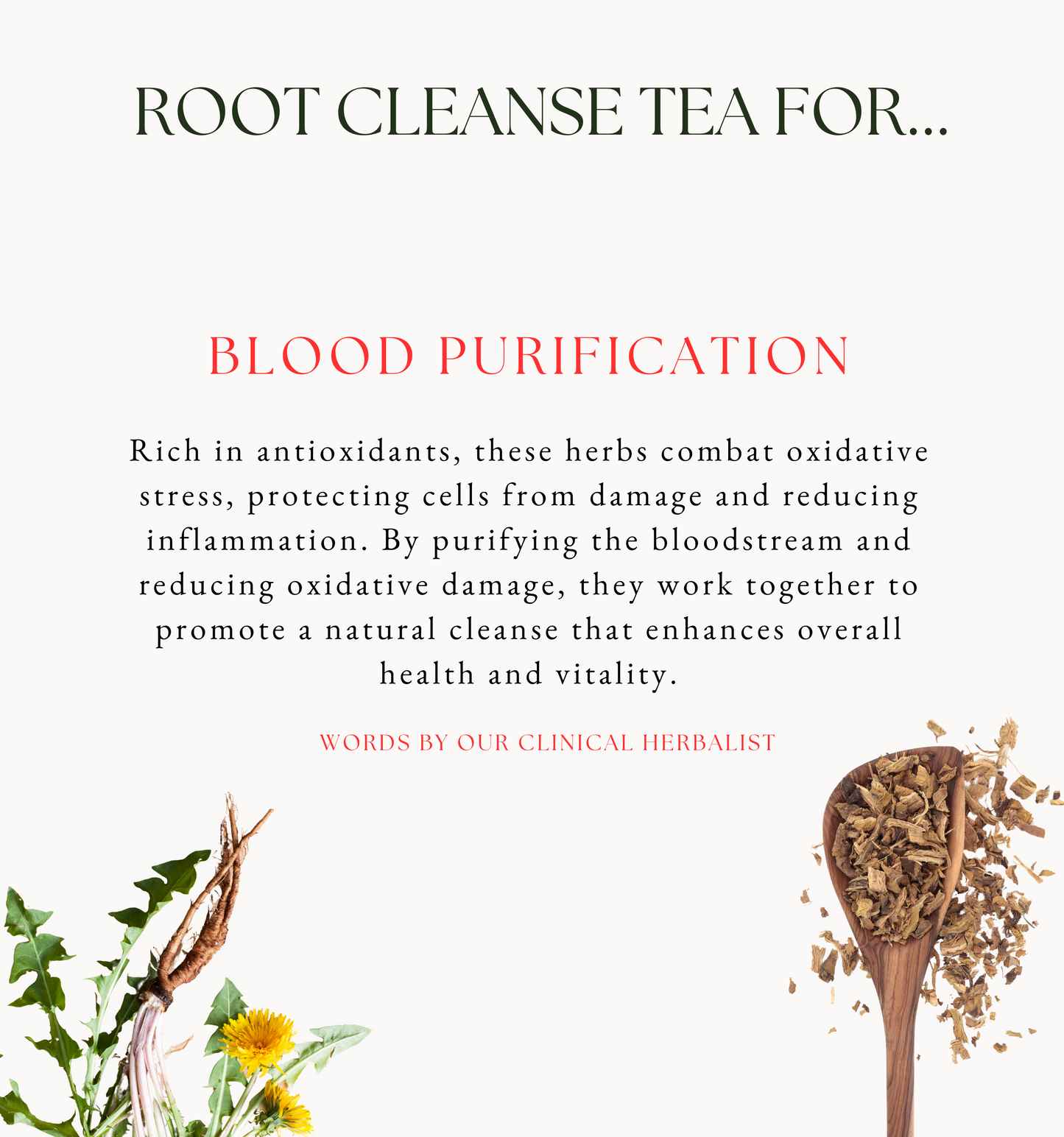 Root Cleanse