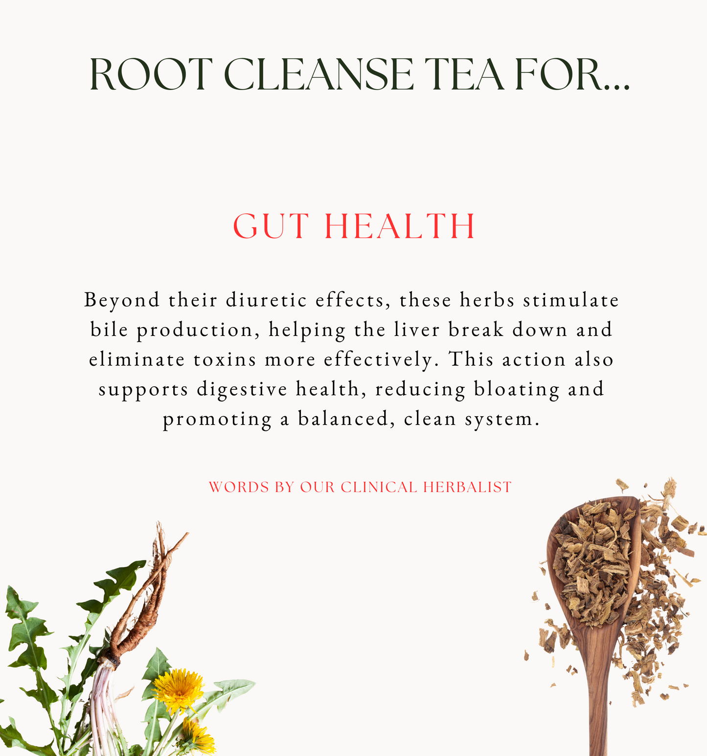 Root Cleanse