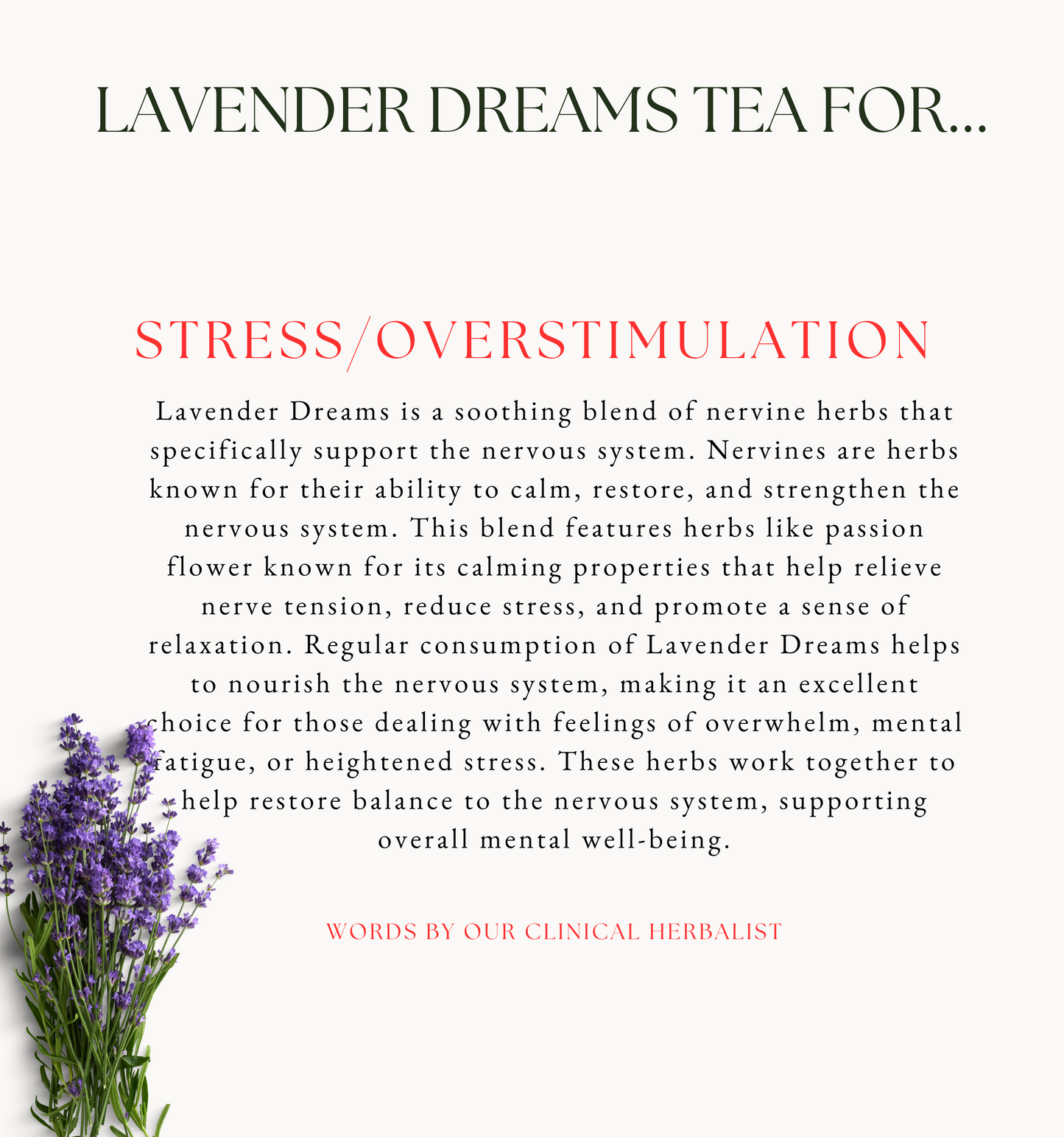 Lavender Dreams