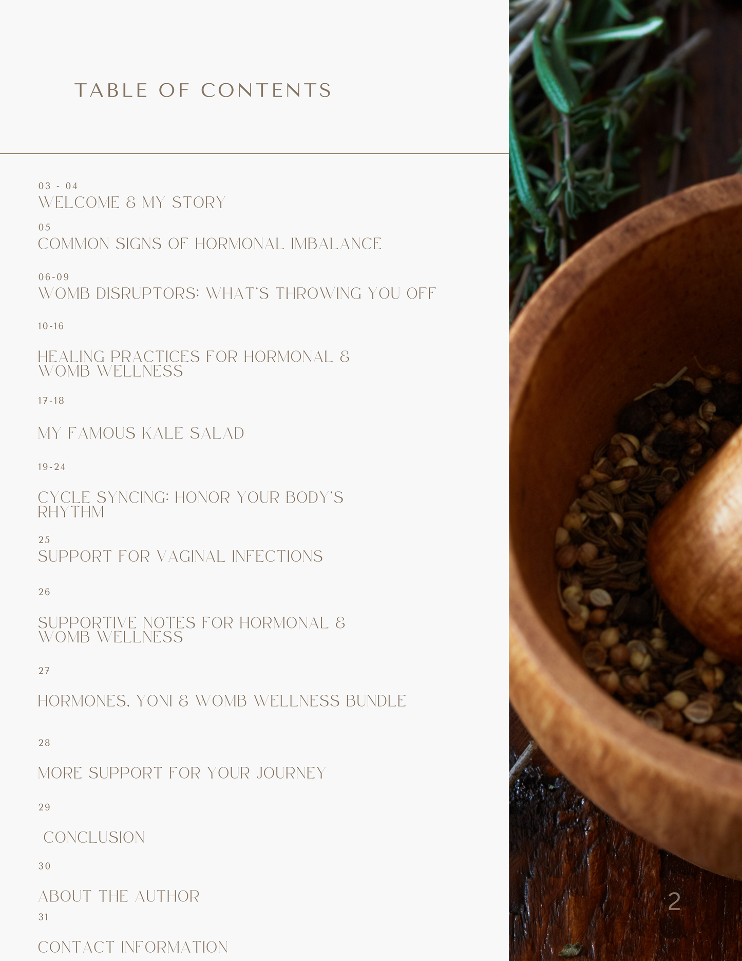 Guide to Hormones, Yoni & Womb Wellness Ebook