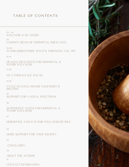 Guide to Hormones, Yoni & Womb Wellness Ebook