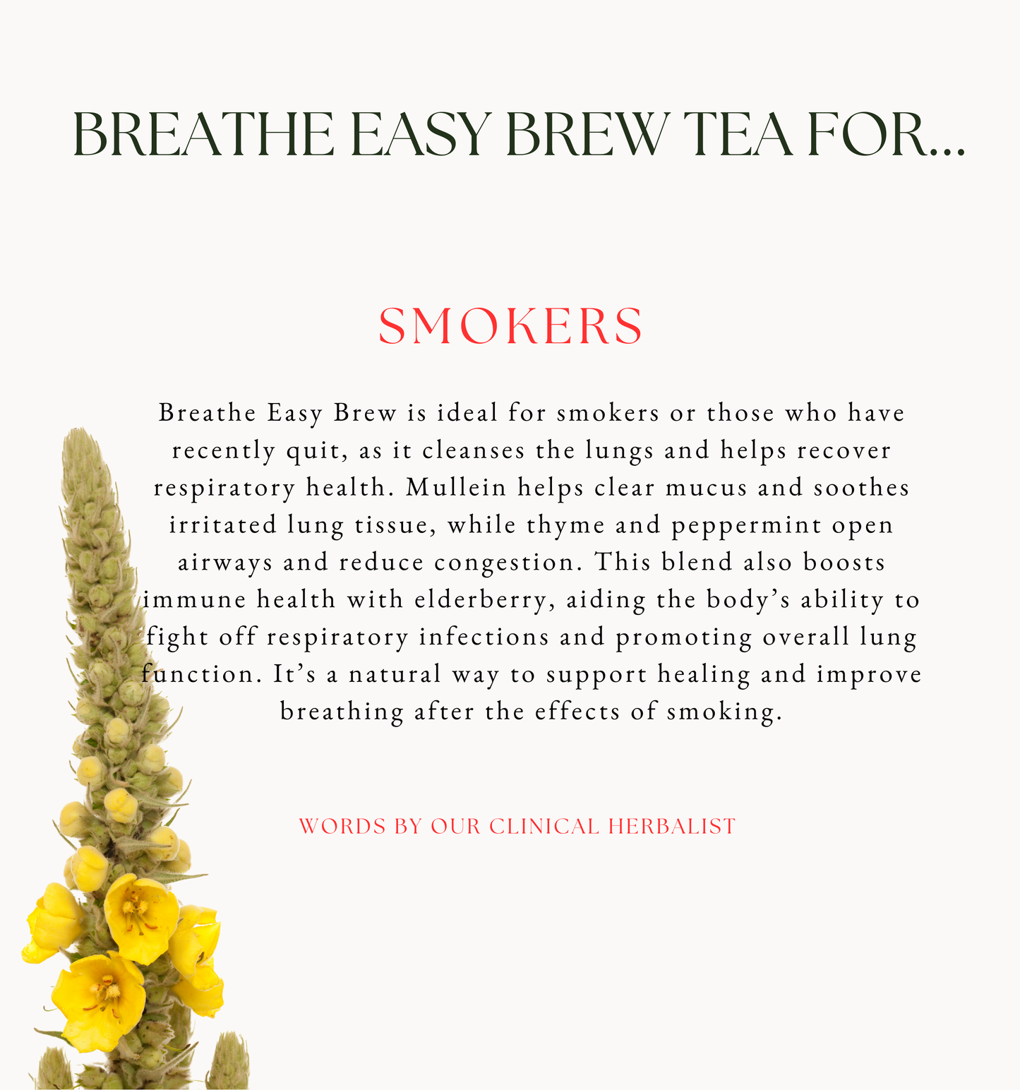 Breathe Easy Brew